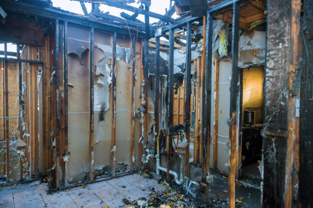 Professional Soot Cleanup technician working in Savannah, TN